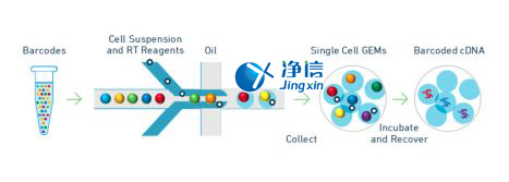 中國人自己的微流控單細(xì)胞測序儀來了！_微流控Drop-seq,微流控技術(shù)