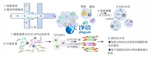 中國人自己的微流控單細(xì)胞測序儀來了！_微流控Drop-seq