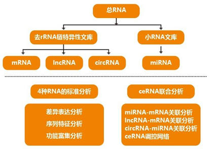 研究人員使用RNA-Seq來構(gòu)建致命盒子果凍的觸手轉(zhuǎn)錄組